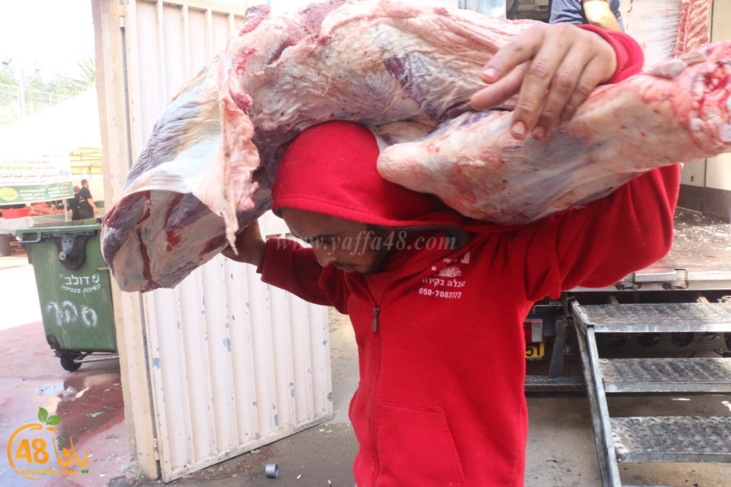 ada7y forthei (74).JPG